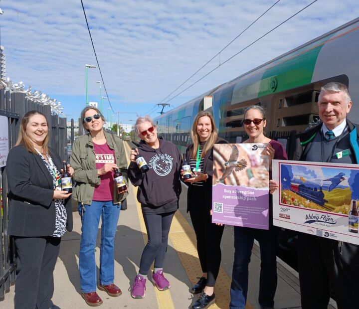 Group standing at a train platform