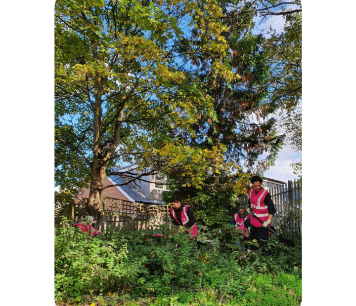Volunteers at a community garden