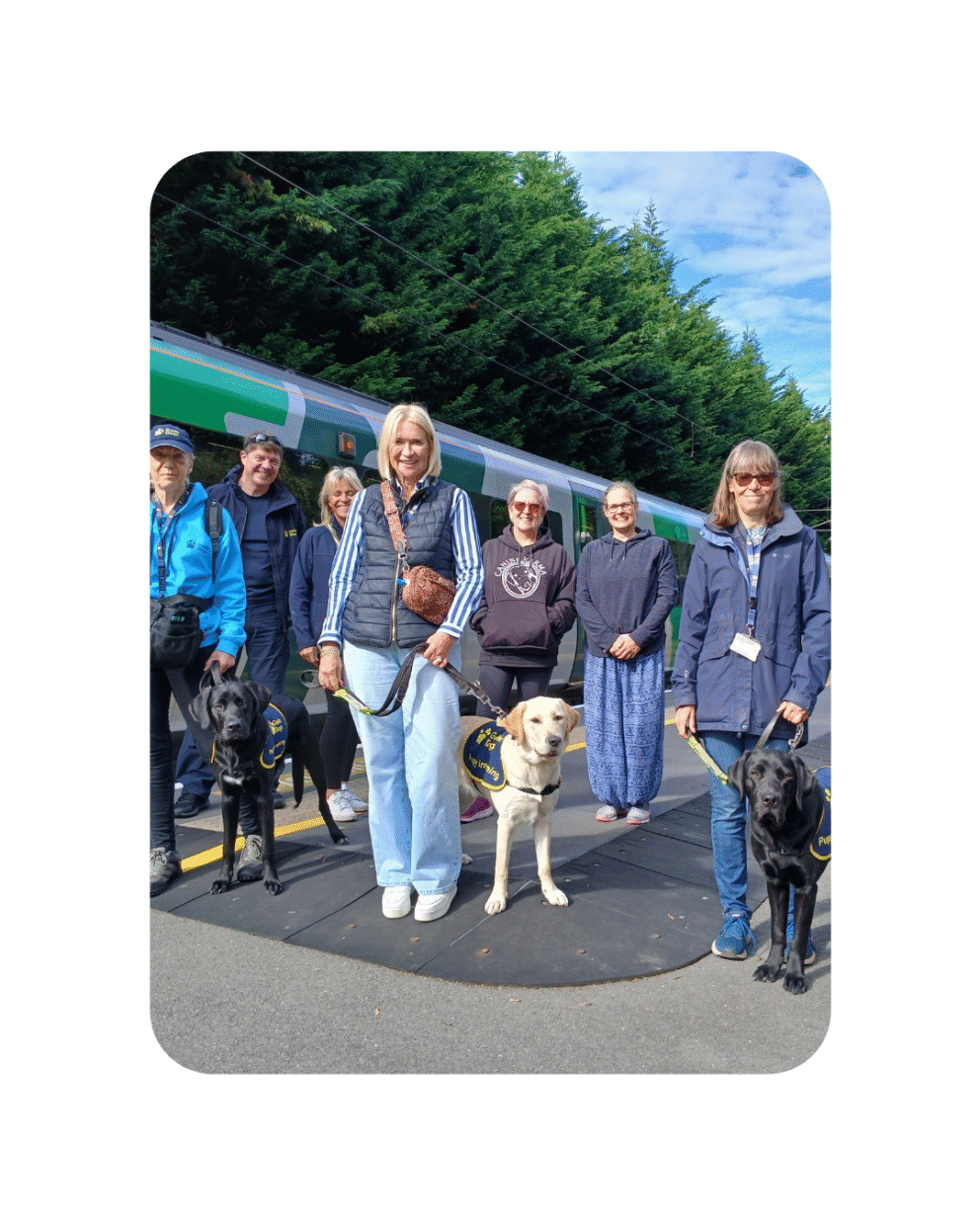 Guide dog puppies in training on the Abbey Line trainline