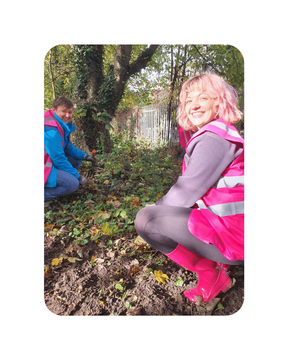 Volunteers at a community garden