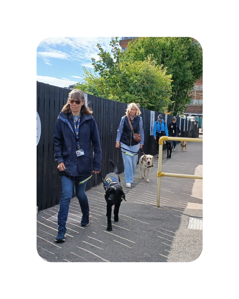 Guide dog puppies in training on the Abbey Line trainline