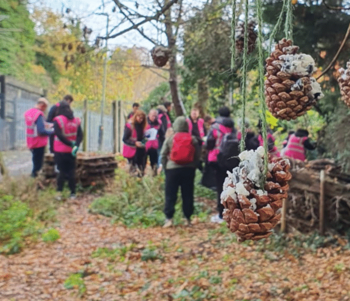 Students in a community garden
