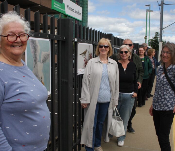 People admiring a community art exhibition at a railway station