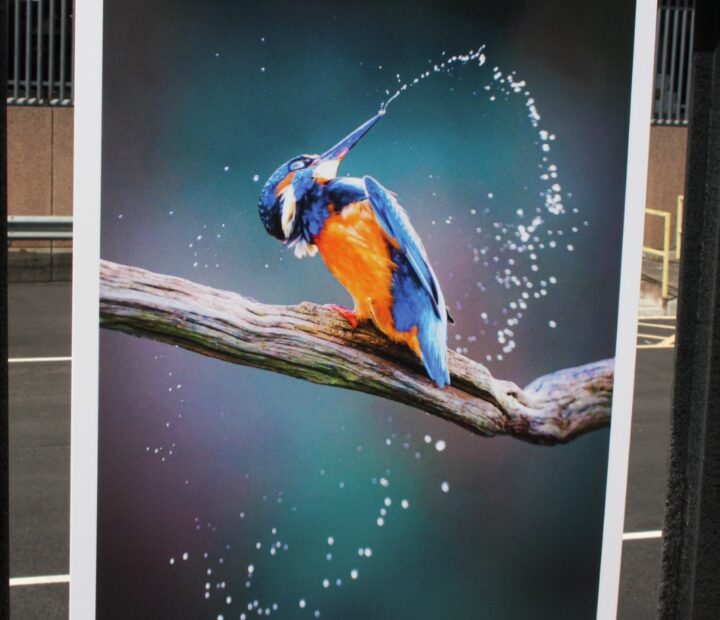 A community art exhibition at a railway station
