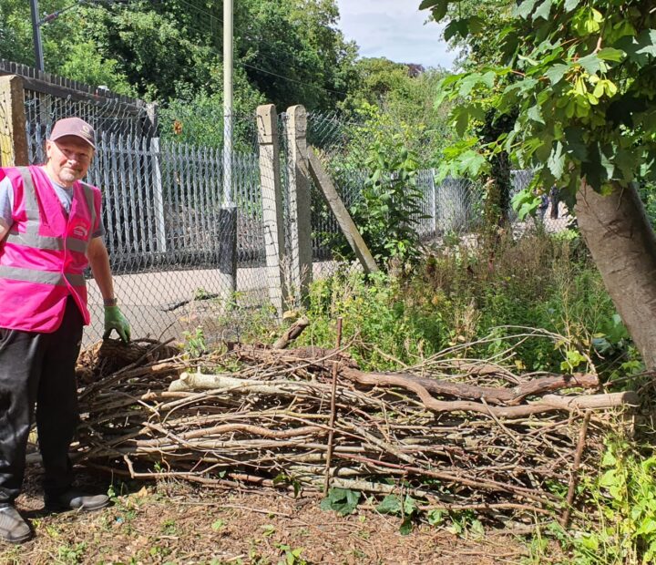 A person in a community garden