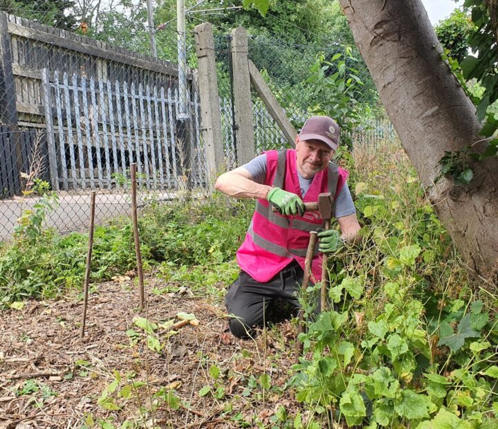 A person in a community garden